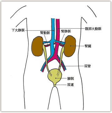 腰痛・ギックリ腰とは