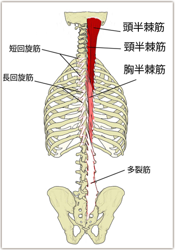 腰痛施術とは
