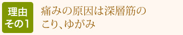理由その1：痛みの原因は深層筋のこり、ゆがみ