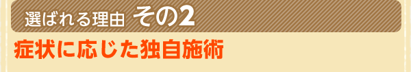 症状に応じた独自施術